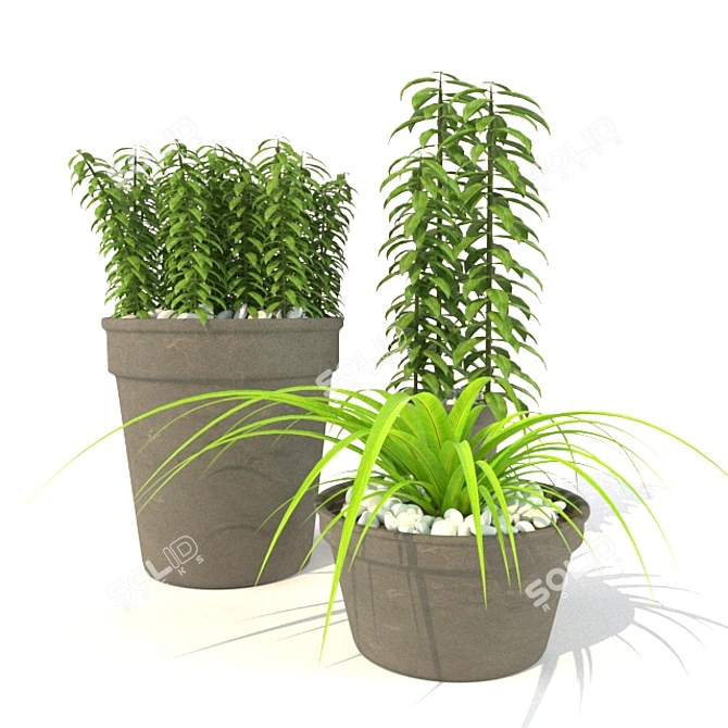 Botanical Bliss: 3D Plant Collection 3D model image 1