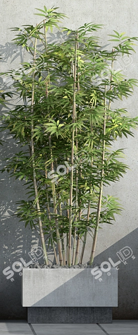 Sustainable Bamboo 3D Model 3D model image 2