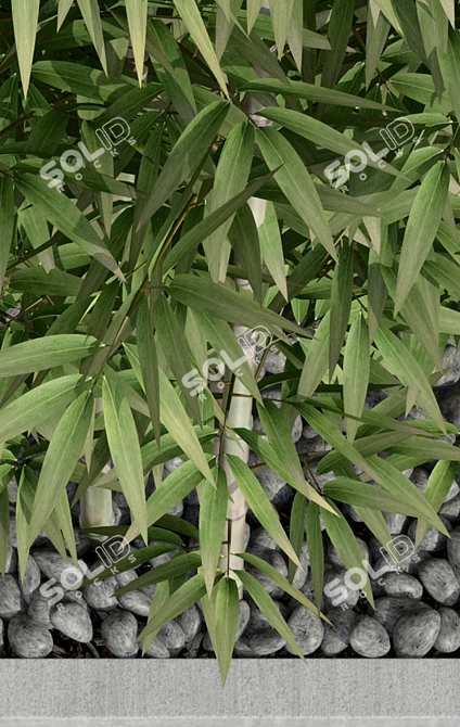 Sustainable Bamboo 3D Model 3D model image 3