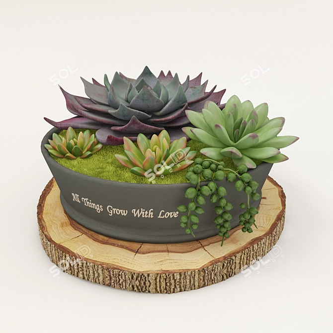 Turbo Succulents 3D model image 1