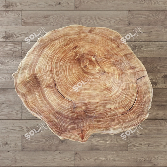 Title: Rustic Slab Wood Coffee Table 3D model image 2