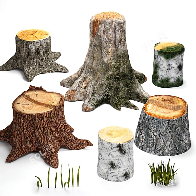 Natural Stump Collection & Lush Grass 3D model image 1