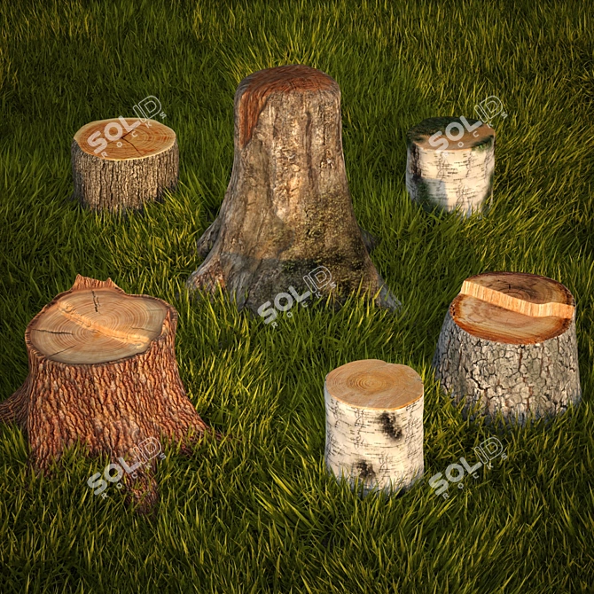 Natural Stump Collection & Lush Grass 3D model image 2