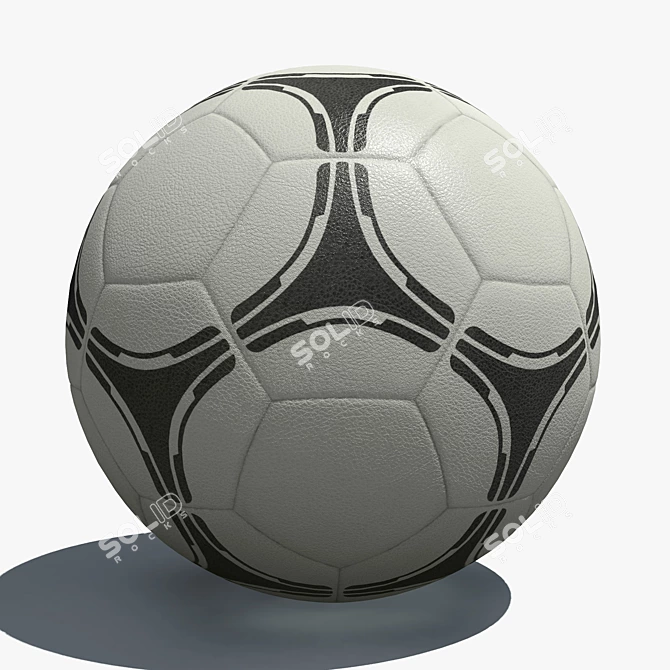 Professional Soccer Ball 3D Model 3D model image 1