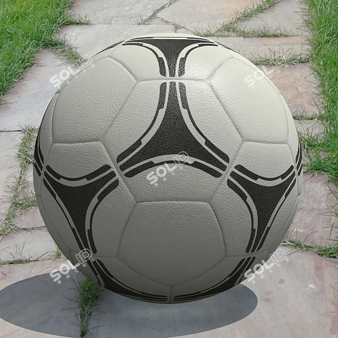 Professional Soccer Ball 3D Model 3D model image 2