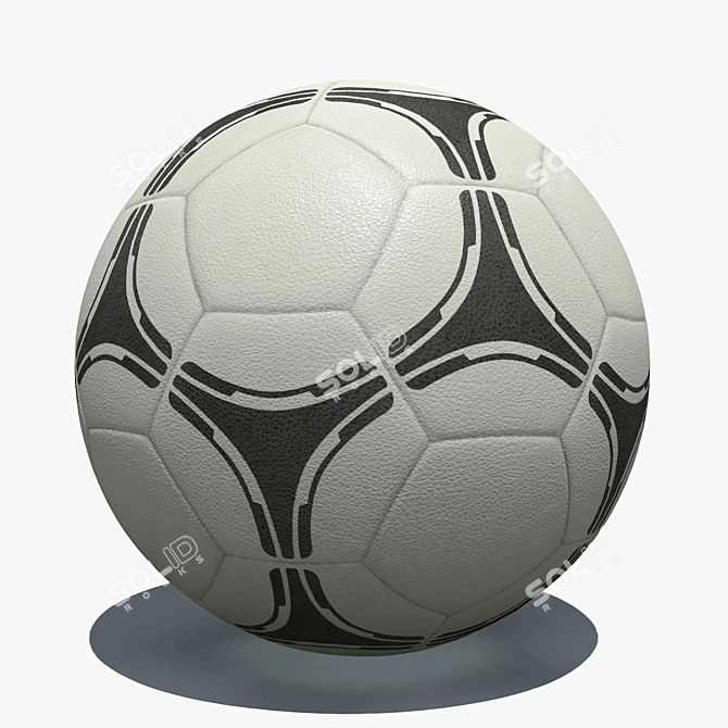 Professional Soccer Ball 3D Model 3D model image 3