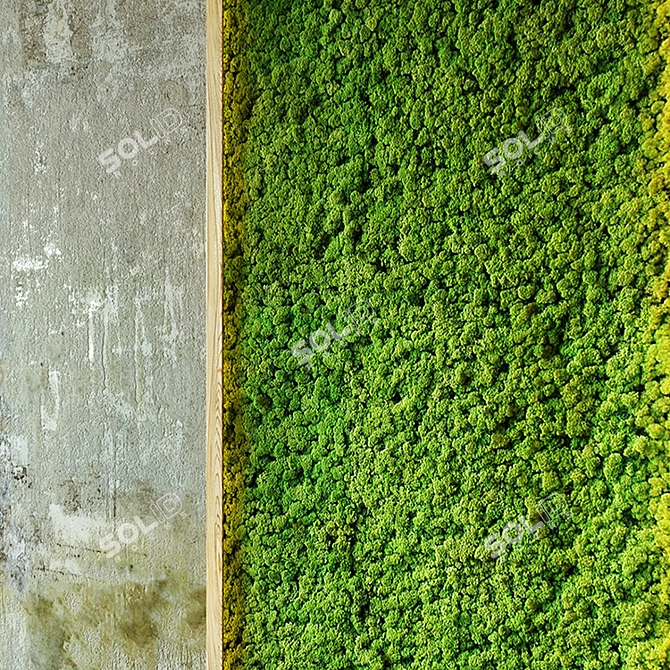 Vertical Green Wall - Natural Moss 3D model image 2