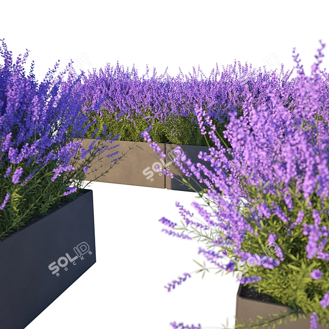 Lavender Cube Set 3D model image 1