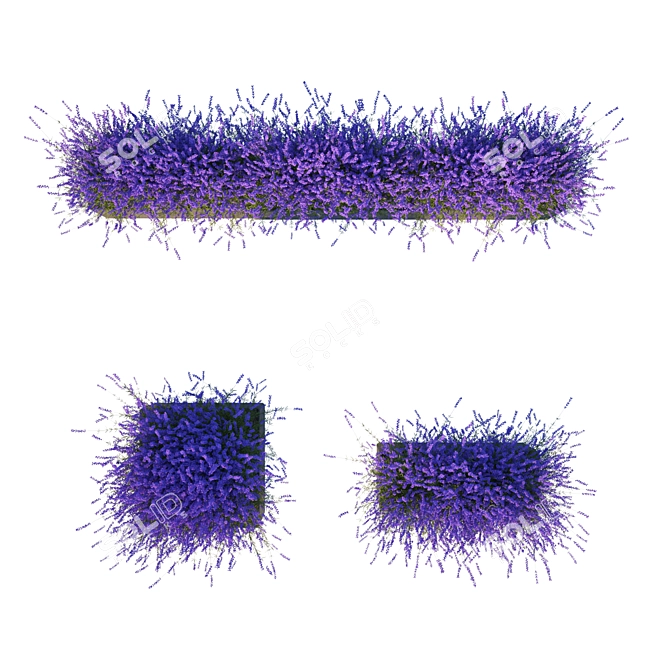 Lavender Cube Set 3D model image 3