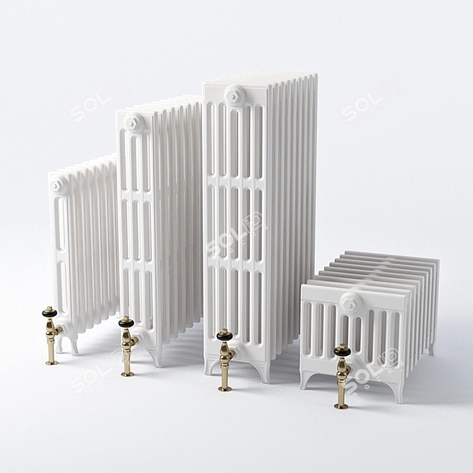 Carron Victorian Radiator 3D model image 1