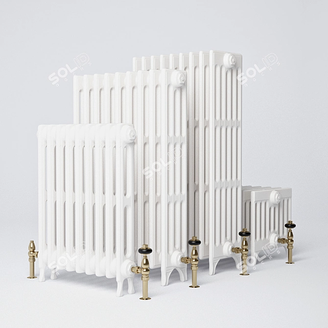 Carron Victorian Radiator 3D model image 2