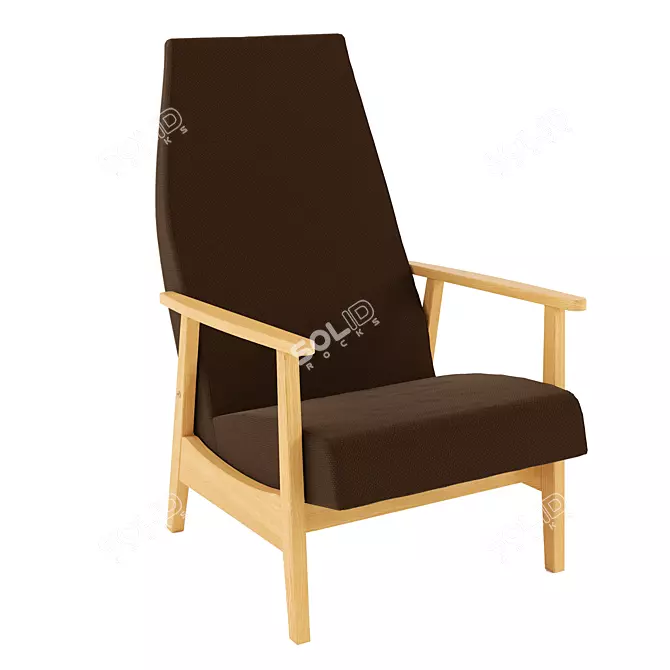 Modern Wood Lounge Chair 3D model image 1