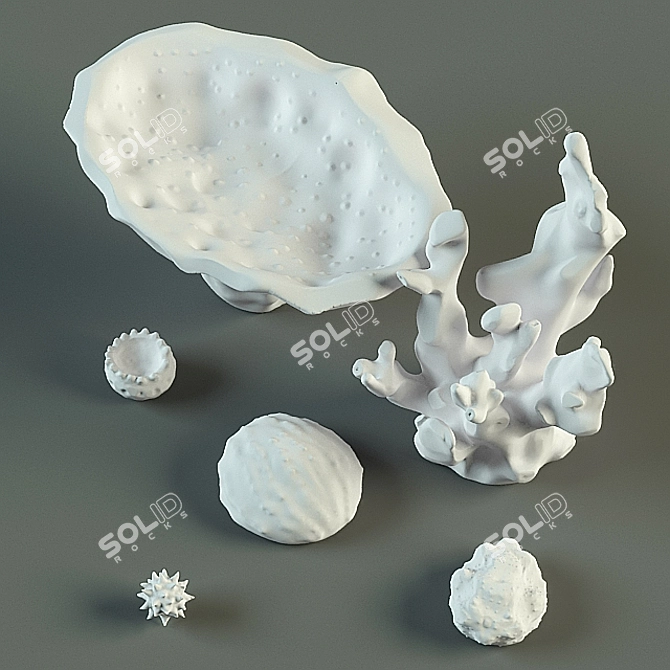 Coral Reef Decor 3D model image 2
