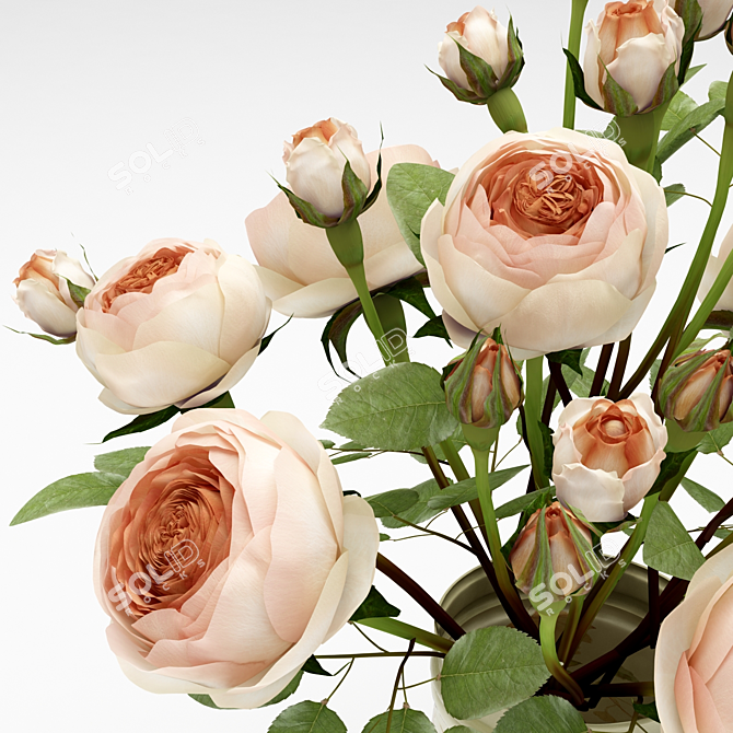 Timeless Beauty: Classic Rose 3D model image 3