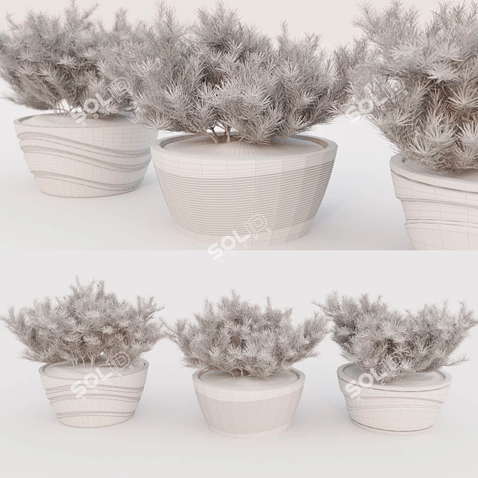 Title: Pumilio Pine Trio 3D model image 3