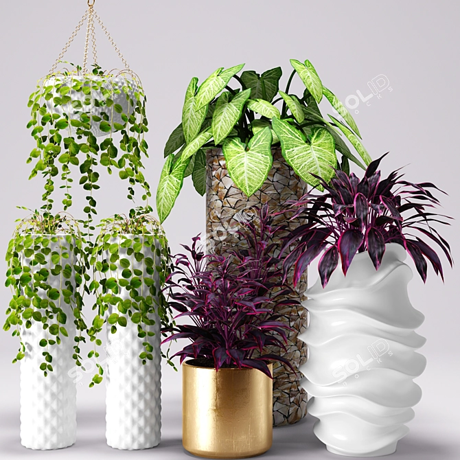 Botanical Beauties: Potted Plants 3D model image 1