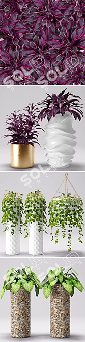 Botanical Beauties: Potted Plants 3D model image 2