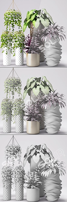 Botanical Beauties: Potted Plants 3D model image 3