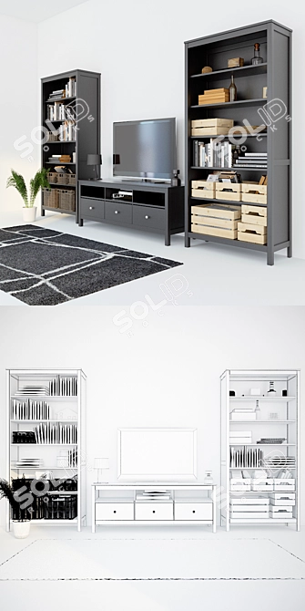 HEMNES Filling: Shelving, Cabinet, Baskets & Boxes 3D model image 3