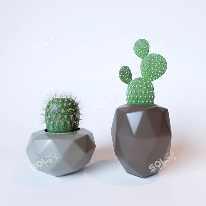 Title: Prickly Potted Cactus Duo 3D model image 1