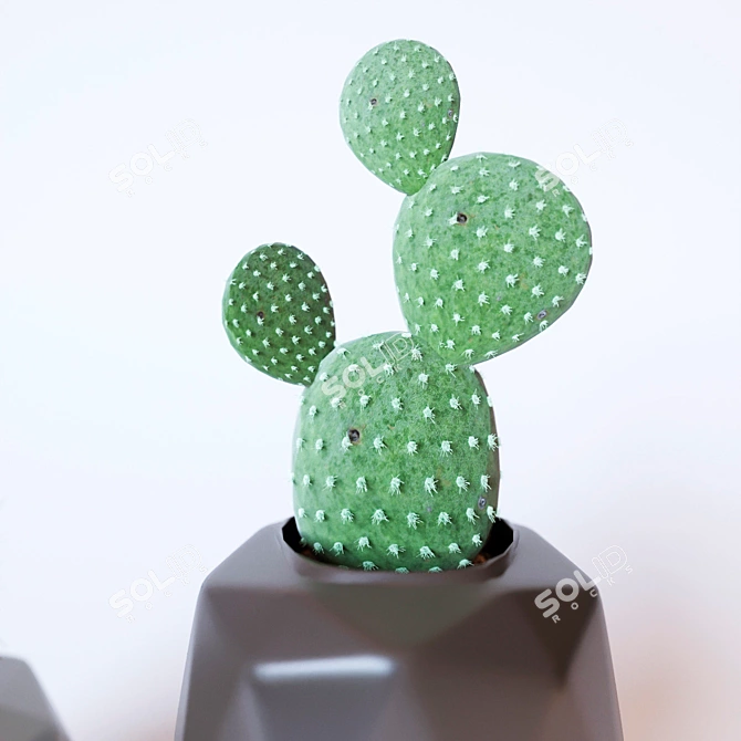 Title: Prickly Potted Cactus Duo 3D model image 2
