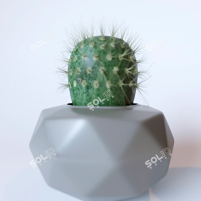 Title: Prickly Potted Cactus Duo 3D model image 3