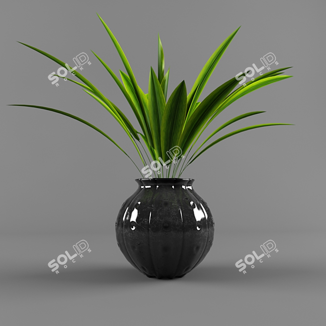 Decorative Plant Vase Set 3D model image 1