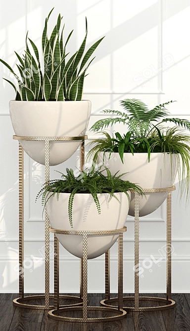 14 Unique Room Plants Set 3D model image 2