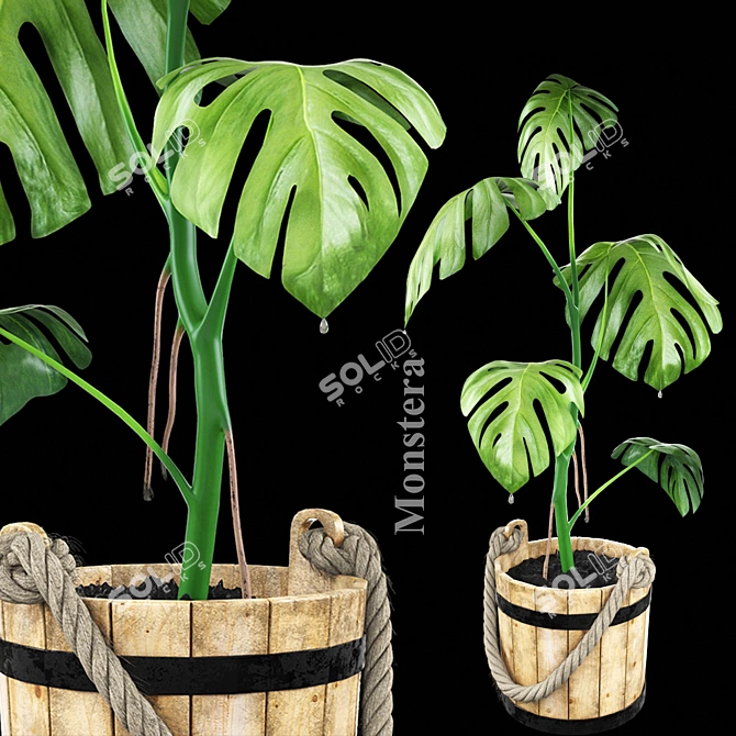 Wooden Tub Monstera: Blend Excluded 3D model image 1