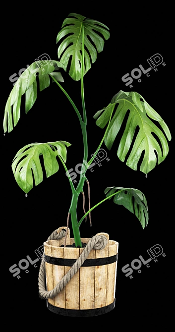 Wooden Tub Monstera: Blend Excluded 3D model image 2