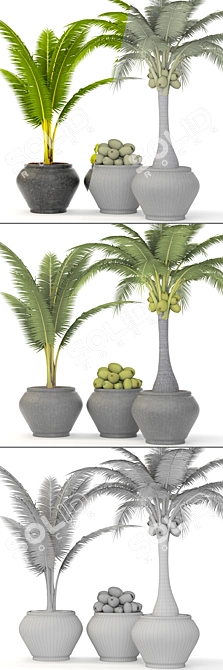 Tropical Bliss Coconut Palm Set 3D model image 3