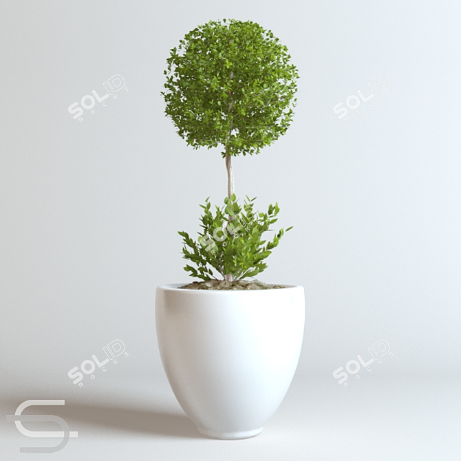 Stylish Indoor Plant CEDE 3D model image 1