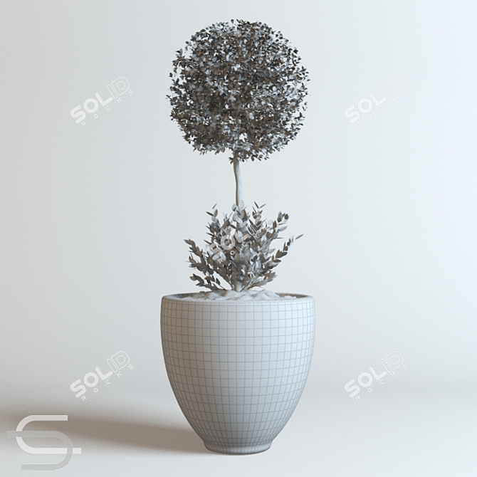 Stylish Indoor Plant CEDE 3D model image 2