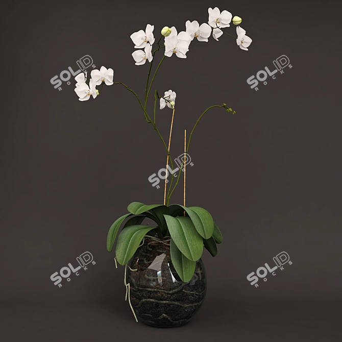 Elegant Glass Vase Orchid 3D model image 1