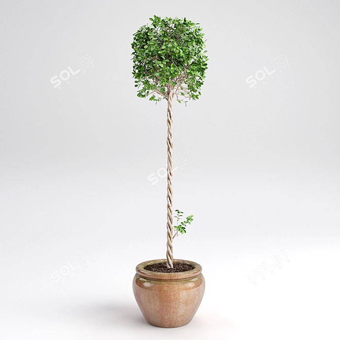 3D Max Plant Creation Kit 3D model image 1