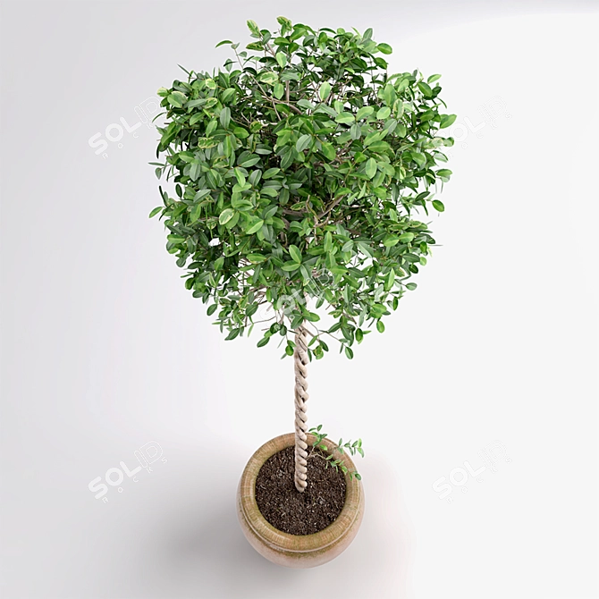 3D Max Plant Creation Kit 3D model image 2