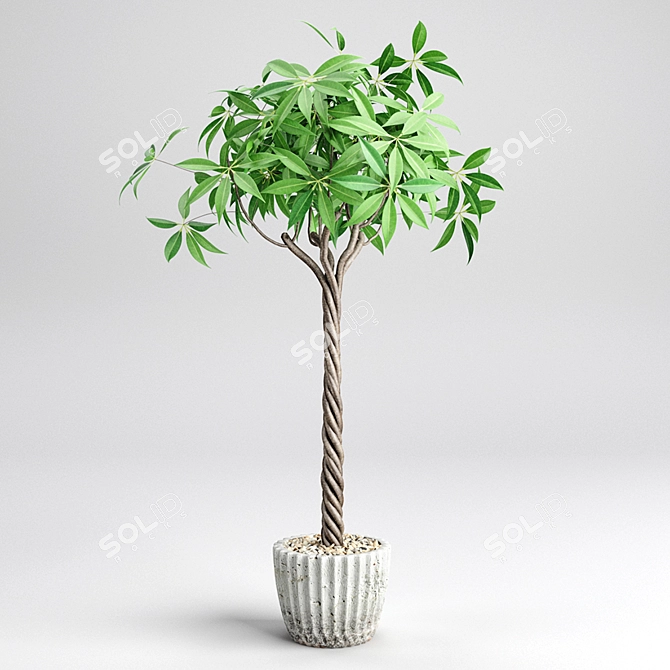 3D Plant Design: Maximize Visual Impact 3D model image 1