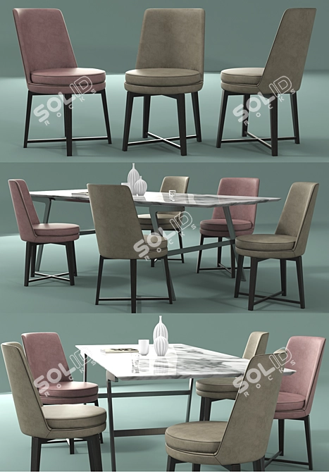 Elegant Flexform Dining Set 3D model image 3