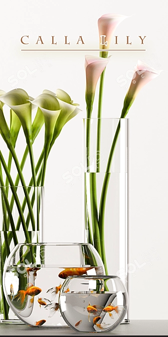 Elegant Calla Lily Fish Aquarium 3D model image 3