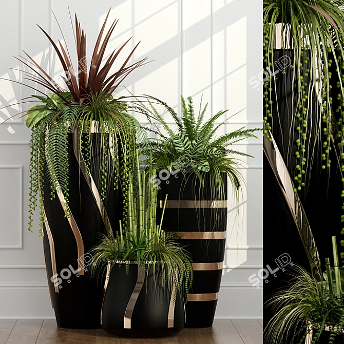 15 Indoor Plants - Green up Your Space! 3D model image 1