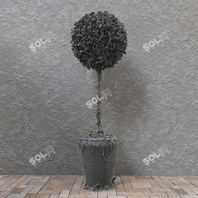 Decorative Potted Tree 3D model image 3