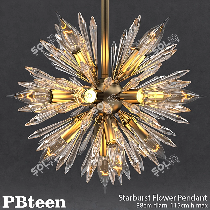 Starburst Flower Pendant - Stylish Ceiling Lighting for PBteen 3D model image 1