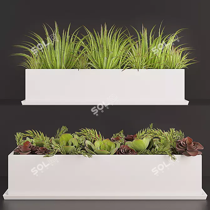 Title: Artificial Succulent Houseplants 3D model image 1