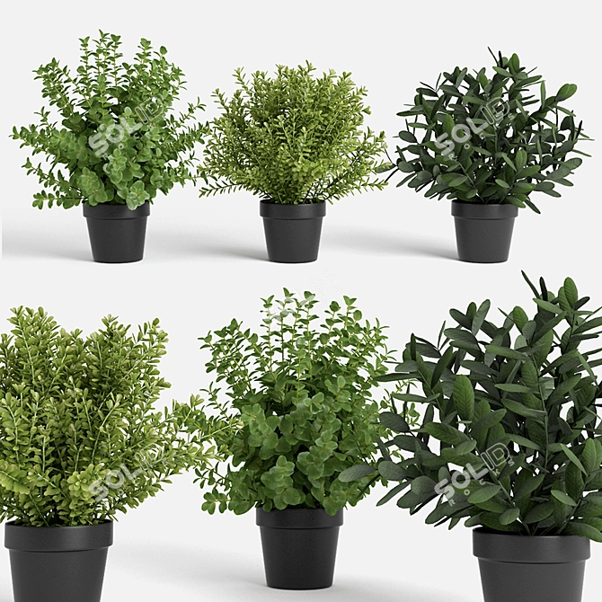 Vibrant Plant Collection 3D model image 1