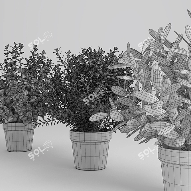 Vibrant Plant Collection 3D model image 3