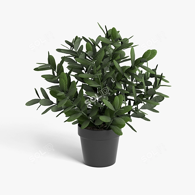 Vibrant Plant Collection 3D model image 5