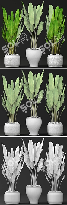 Tropical Bliss: Set of Banana Trees 3D model image 3