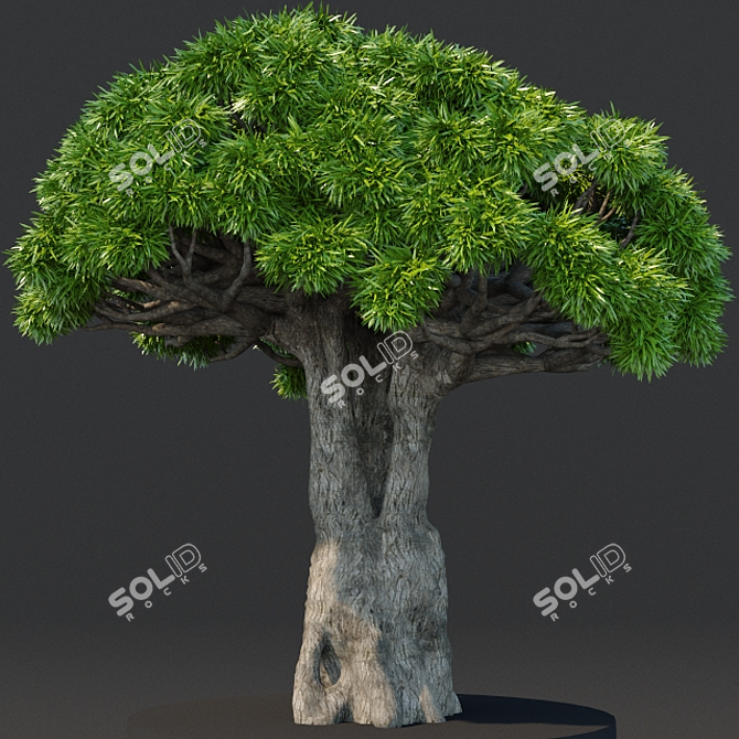 Dragon Tree: Lifelike 3D Model 3D model image 1