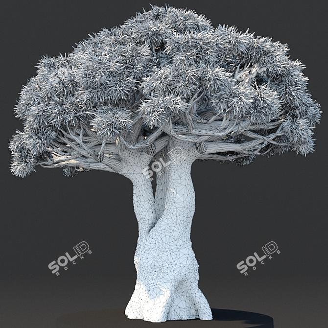 Dragon Tree: Lifelike 3D Model 3D model image 3
