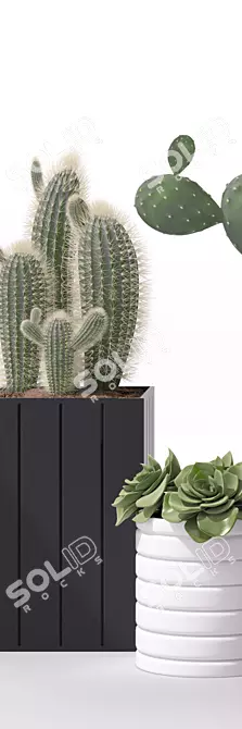 Modern Indoor Plant Set 3D model image 2